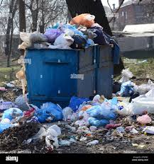 Best Yard Waste Removal  in Whitestown, IN